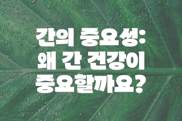 간의 중요성: 왜 간 건강이 중요할까요?