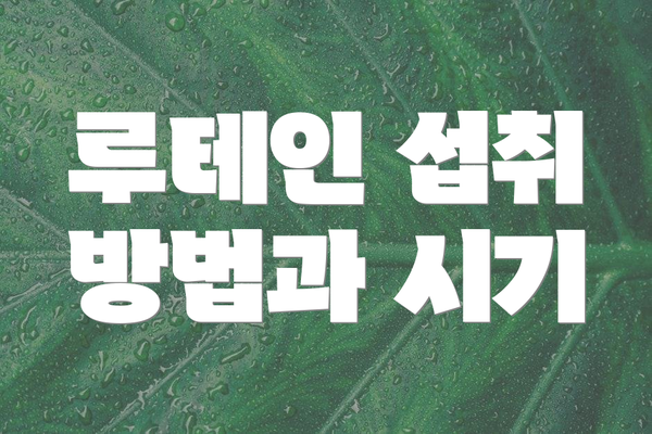 루테인 섭취 방법과 시기