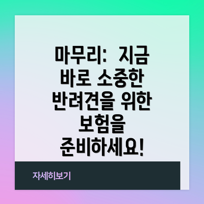 마무리:  지금 바로 소중한 반려견을 위한 보험을 준비하세요!