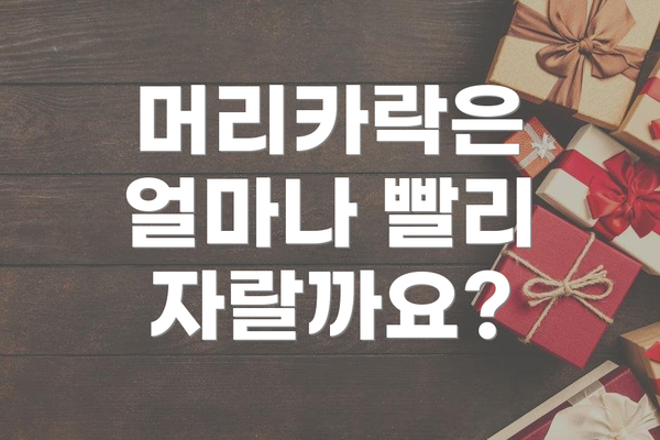 머리카락은 얼마나 빨리 자랄까요?