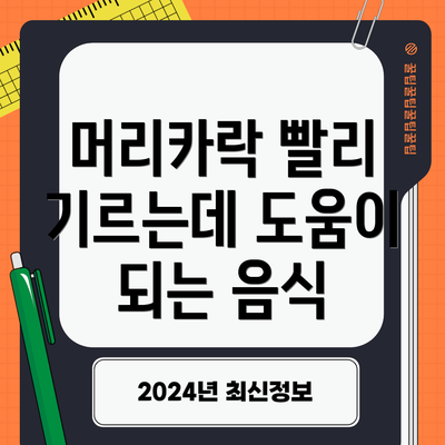머리카락 빨리 기르는데 도움이 되는 음식