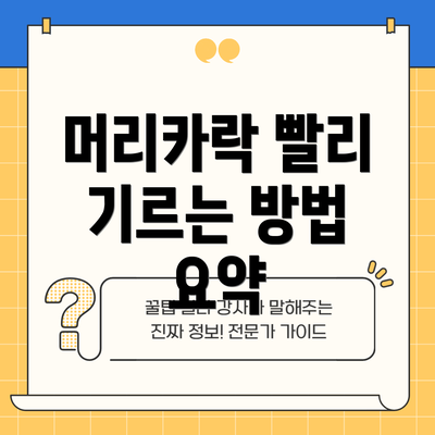 머리카락 빨리 기르는 방법 요약