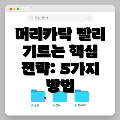 머리카락 빨리 기르는 핵심 전략: 5가지 방법