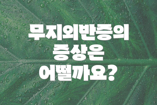 무지외반증의 증상은 어떨까요?