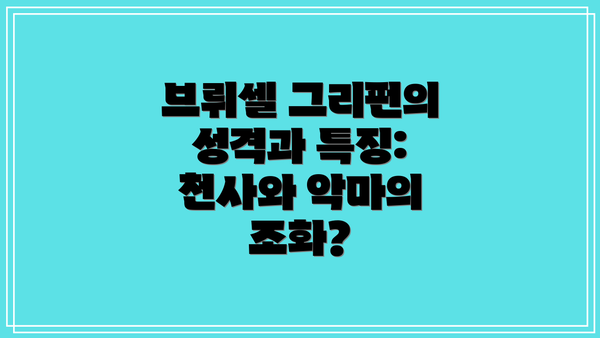 브뤼셀 그리펀의 성격과 특징: 천사와 악마의 조화?