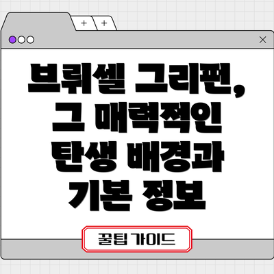 브뤼셀 그리펀, 그 매력적인 탄생 배경과 기본 정보