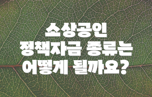 소상공인 정책자금 종류는 어떻게 될까요?