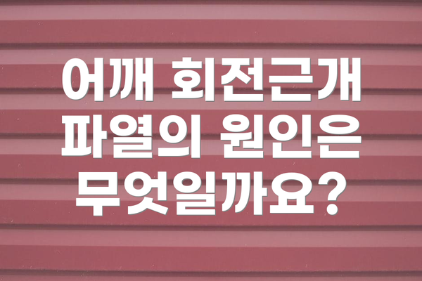 어깨 회전근개 파열의 원인은 무엇일까요?
