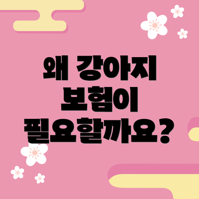 왜 강아지 보험이 필요할까요?