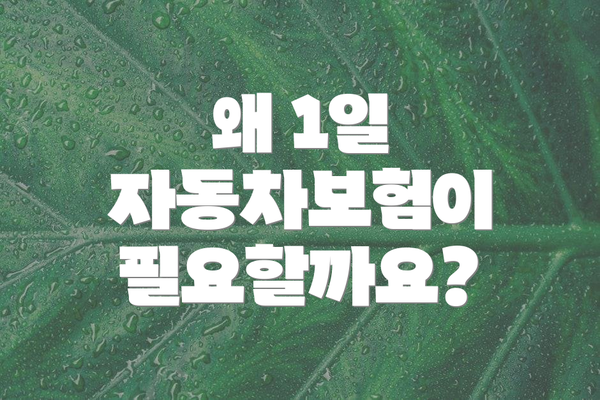 왜 1일 자동차보험이 필요할까요?