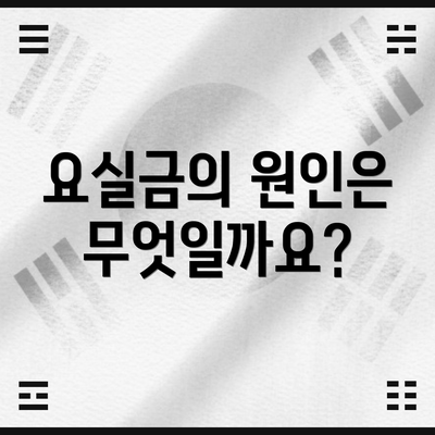 요실금의 원인은 무엇일까요?