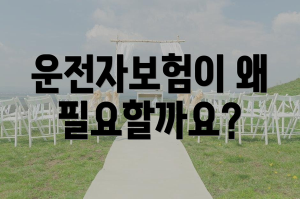 운전자보험이 왜 필요할까요?