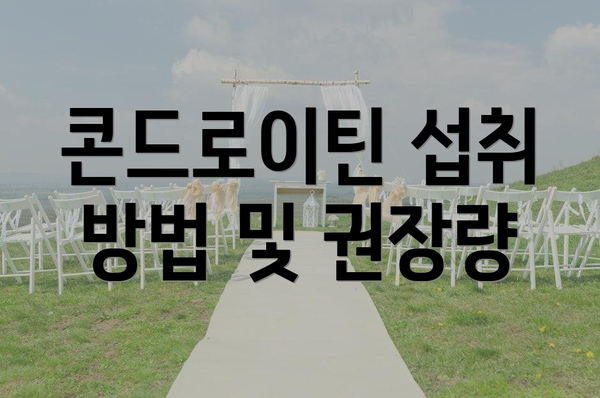 콘드로이틴 섭취 방법 및 권장량