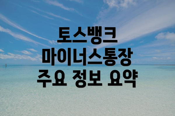 토스뱅크 마이너스통장 주요 정보 요약