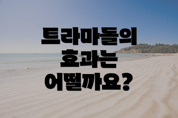 트라마돌의 효과는 어떨까요?