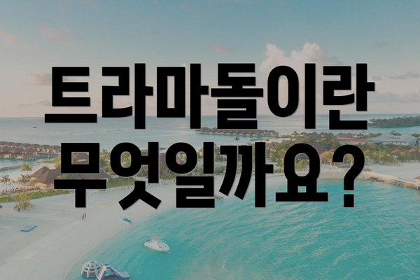 트라마돌이란 무엇일까요?