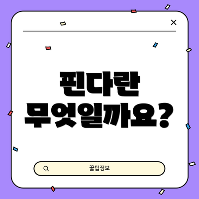 핀다란 무엇일까요?