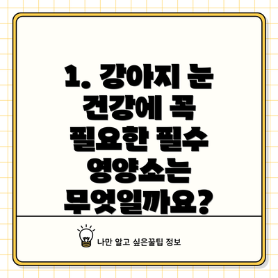 1. 강아지 눈 건강에 꼭 필요한 필수 영양소는 무엇일까요?