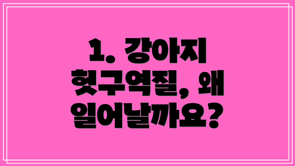 1. 강아지 헛구역질, 왜 일어날까요?