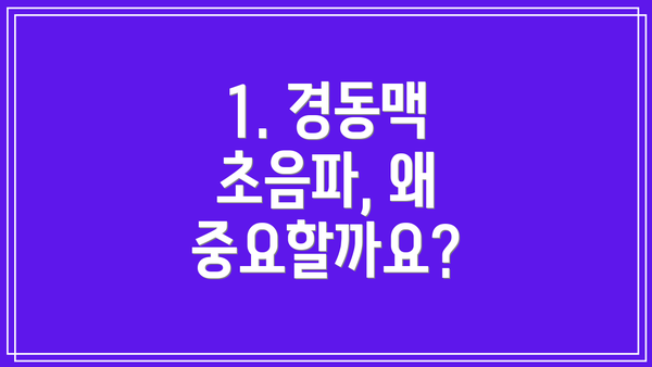 1. 경동맥 초음파, 왜 중요할까요?