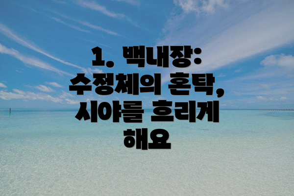 1. 백내장: 수정체의 혼탁, 시야를 흐리게 해요