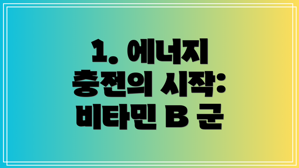 1. 에너지 충전의 시작: 비타민 B 군