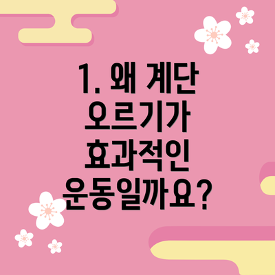1. 왜 계단 오르기가 효과적인 운동일까요?
