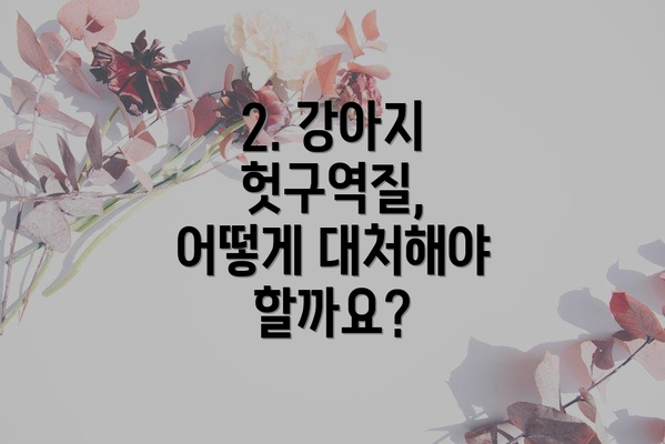 2. 강아지 헛구역질, 어떻게 대처해야 할까요?