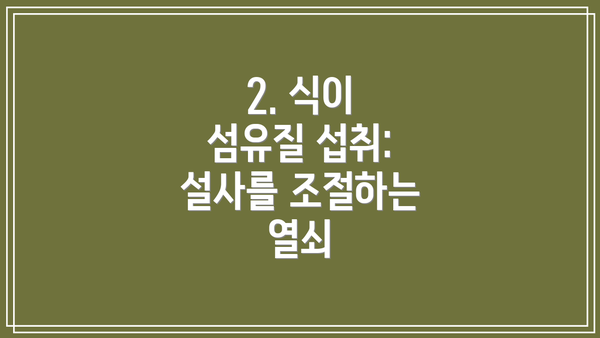 2. 식이 섬유질 섭취: 설사를 조절하는 열쇠
