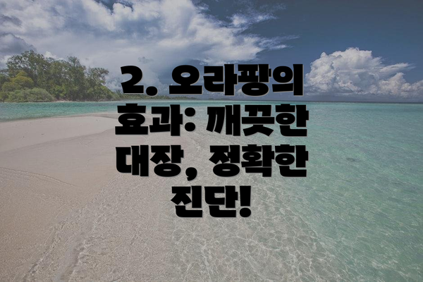 2. 오라팡의 효과: 깨끗한 대장, 정확한 진단!