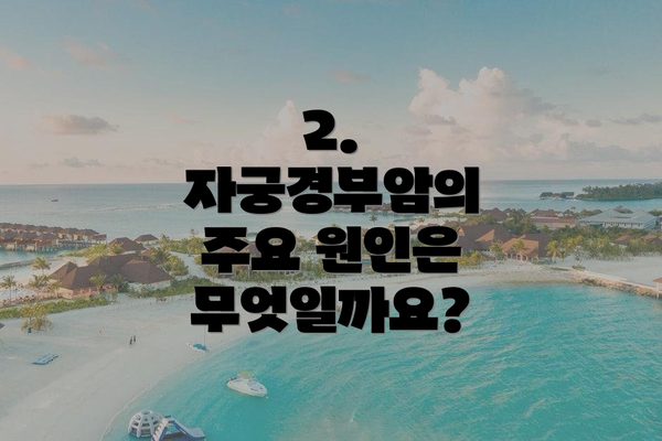 2. 자궁경부암의 주요 원인은 무엇일까요?