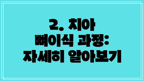 2. 치아 뼈이식 과정: 자세히 알아보기