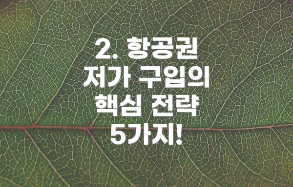 2. 항공권 저가 구입의 핵심 전략 5가지!