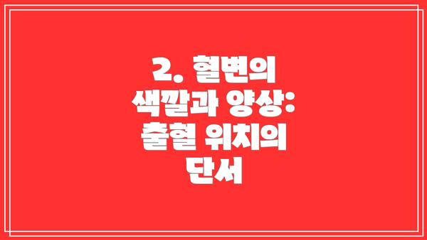 2. 혈변의 색깔과 양상: 출혈 위치의 단서
