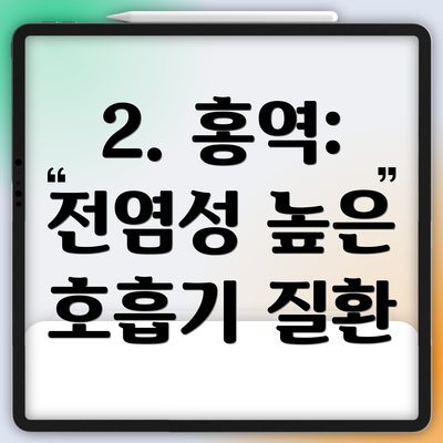 2. 홍역: 전염성 높은 호흡기 질환
