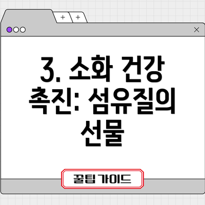3. 소화 건강 촉진: 섬유질의 선물