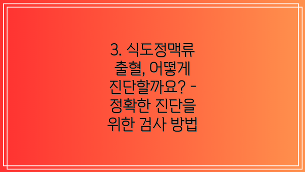 3. 식도정맥류 출혈, 어떻게 진단할까요? - 정확한 진단을 위한 검사 방법