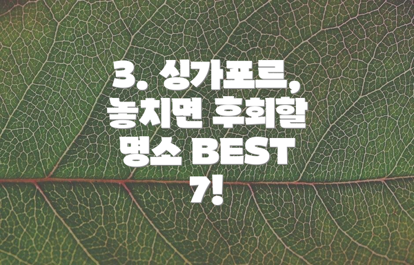 3. 싱가포르, 놓치면 후회할 명소 BEST 7!