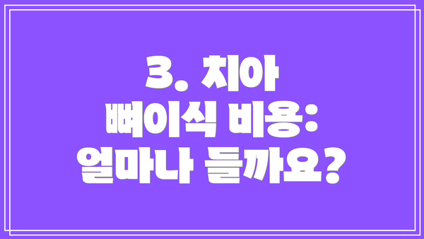 3. 치아 뼈이식 비용: 얼마나 들까요?