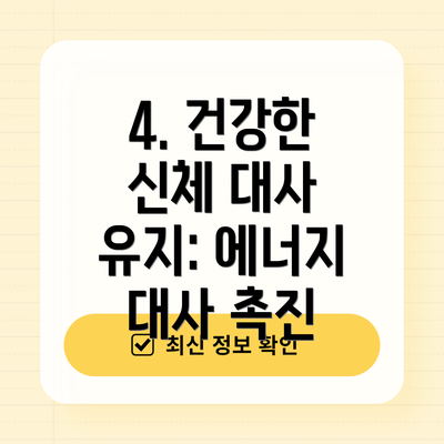 4. 건강한 신체 대사 유지: 에너지 대사 촉진