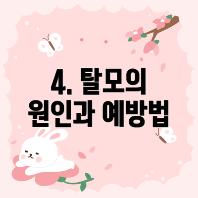 4. 탈모의 원인과 예방법