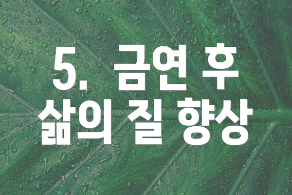 5.  금연 후 삶의 질 향상