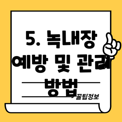 5. 녹내장 예방 및 관리 방법