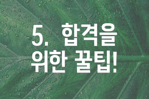 5.  합격을 위한 꿀팁!