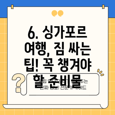 6. 싱가포르 여행, 짐 싸는 팁! 꼭 챙겨야 할 준비물