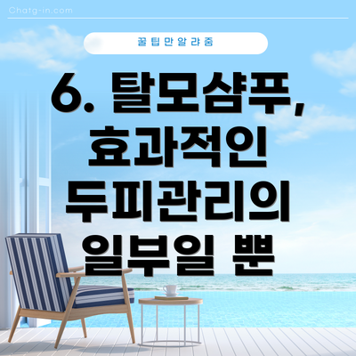6. 탈모샴푸, 효과적인 두피관리의  일부일 뿐