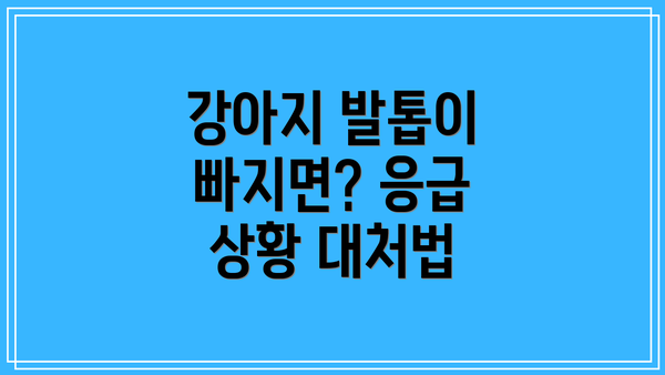 강아지 발톱이 빠지면? 응급 상황 대처법
