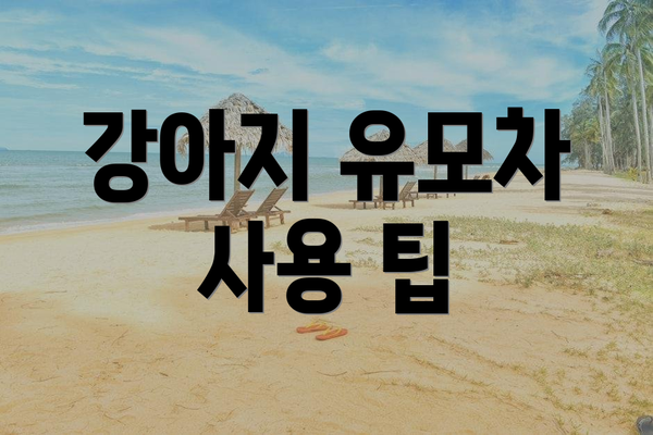 강아지 유모차 사용 팁