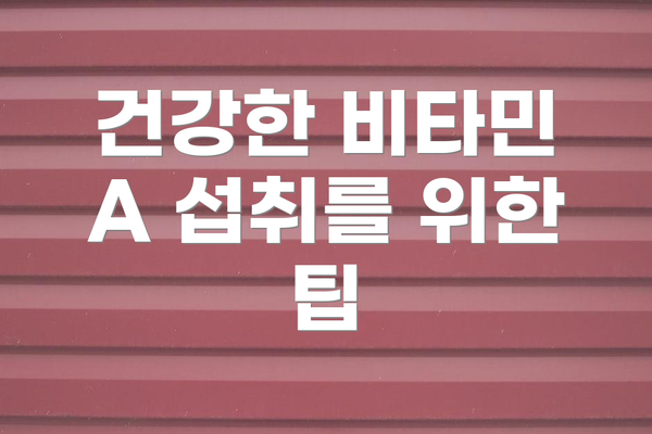 건강한 비타민 A 섭취를 위한 팁