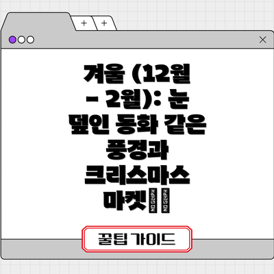 겨울 (12월 - 2월): 눈 덮인 동화 같은 풍경과 크리스마스 마켓❄️